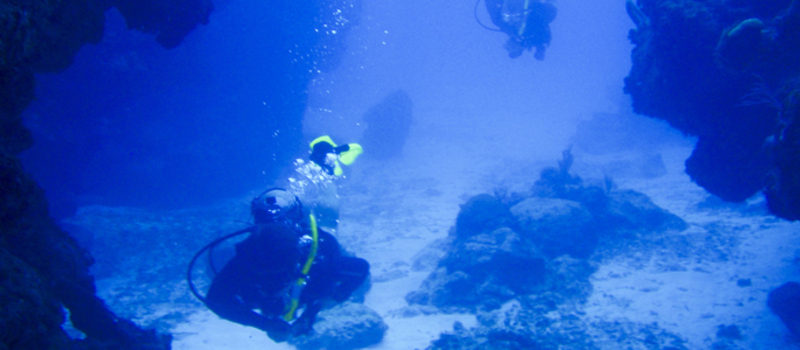 PADI Divemaster Course